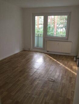Nachmieter gesucht! - Eberswalde