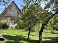 Charmantes Bauernhaus im Dornröschenschlaf mit großem Garten in Dachsbach - Dachsbach