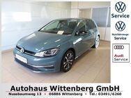 VW Golf, 1.0 TSI VII IQ DRIVE, Jahr 2019 - Wittenberg (Lutherstadt) Wittenberg