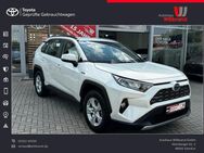 Toyota RAV 4, 2.5 4x2 Hybrid Comfort Allwetter, Jahr 2019 - Steinfurt