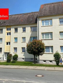 Praktisch geschnitten und bereit zum Einziehen! - Dornburg-Camburg