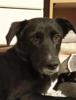 Tikva - liebt es ruhig - Dreikirchen