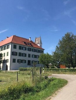 Das Zuhause für Ihre Familie! Schöne 4- Zimmer Whg. im Schloss Hirschlatt mit Naturnähe - Friedrichshafen