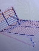 Lattenrost und Matratze 160 x 200 x 5cm in 90425