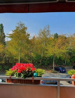 Schöne helle 3-ZKBB/ wunderbare Lage am Ahnepark/ Blick ins Grüne/ EBK/ Hausordnung inkl. - Vellmar