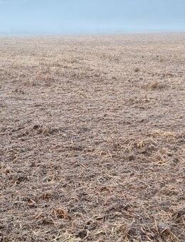 netter Landwirt 47 schlank 180 Groß sucht Frau zwischen 40- 55 - Datteln