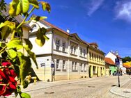 kleine Wohnung in zentraler Lage von Sangerhausen, Riestedter Straße - Sangerhausen