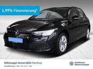 VW Golf, 2.0 TDI VIII Life, Jahr 2024 - Hamburg