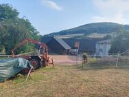 Kleiner Hof für Pferdehaltung; geeignet für Menschen mit Platzbedarf in Tann-Habel ! - Tann (Rhön)