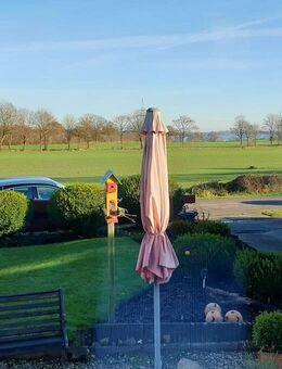 Einfamilienhaus mit Einliegerwohnung in Kochendorf - Windeby