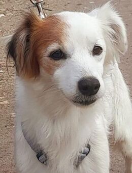 Marota, die aufgeschlossene - Hückelhoven