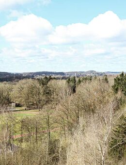 "Parkwohnanlage Wilhelmshöhe" Diesen Ausblick können Sie mieten! Renovierte Wohnung sucht neue Bewohner - Eutin