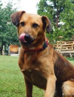 YON - sanft und vorsichtig annähern - Overath