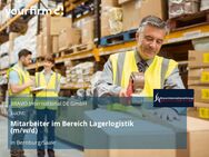 Mitarbeiter im Bereich Lagerlogistik (m/w/d) - Bernburg (Saale)