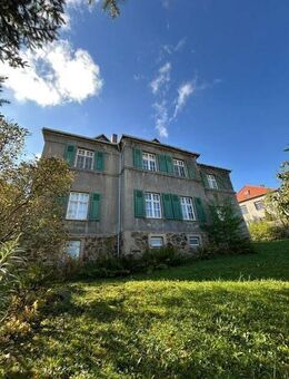 Repräsentative Villa mit Stadtblick ins Muldental, großem Garten und Garage - Sanierungsobjekt - Lunzenau