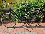28er WINORA Damen Alu Trekking Rad Cityrad 7 Gang Rücktritt TOP! - München