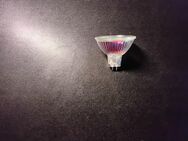 2er LED Strahler MR16 H55 SMD, 4W, warmweiß - Kiel