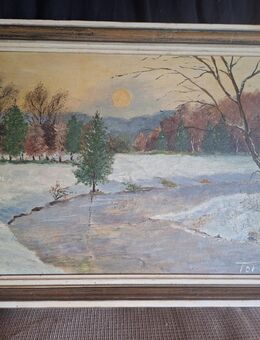 Bild 1954 - Winterlandschaft (Torge 54) - Florstadt
