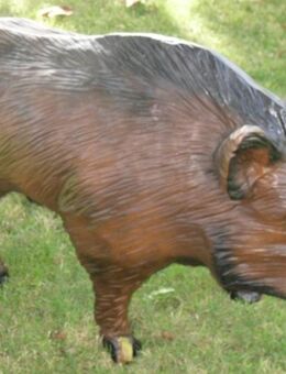 Dekofigur Wildschwein mittel als Gartendeko - Hergisdorf