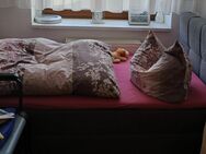 Boxsprinbett 140*200 mit Bettkasten in Görlitz zu verkaufen - Görlitz