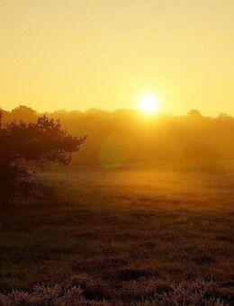 Dachgeschosswohnung mit Terrasse im eigenen Garten | Grüne Umgebung - Radeberg