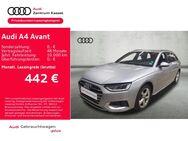 Audi A4, Avant 35 TFSI, Jahr 2024 - Kassel