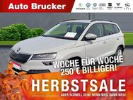 Skoda Karoq Style 1.6 TDI+Klimaautomatik+Alufelgen+LED - Marktredwitz