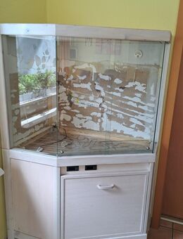 Terrarien 2,5m lang und Eckterrarium - Potsdam