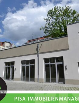 I Loft Wohnung im Rius Carré I Gartenhaus I Einbauküche I erstklassige Ausstattung I - Leipzig