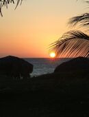 Hast du kurz Zeit, mit mir den Rest deines Lebens zu teil'n? Es wär schön wenn du für immer bleibst; denk doch nicht so viel nach.......+ in 38100