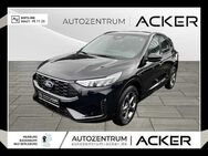 Ford Kuga, 1.5 EcoBoost ST-Line PSD, Jahr 2024 - Bad Berleburg