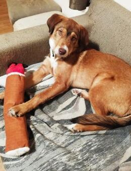 Oskar, wie keiner - Augsburg