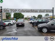 VW Tiguan, 2.0 TDI IQ DRIVE, Jahr 2019 - Munster