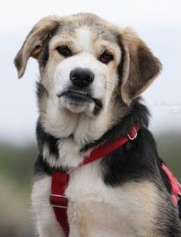 PLUMA ☀️ unser purer Sonnenschein - Neudenau