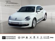 VW Beetle, 1.2 TSI, Jahr 2014 - Nürtingen