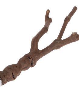 TIAKI Y-Vogelsitzstange Weinrebe - Größe XL: ca. Ø 3,5 x L 40 cm