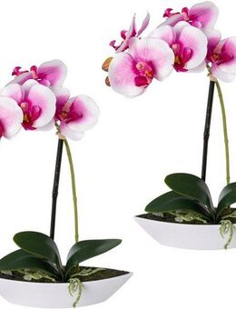 Kunstorchidee Phalaenopsis, Creativ green, Höhe 30 cm, 2er Set, in Kunststoffschale