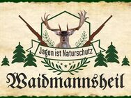 Schönes Blechschild Waidmannsheil Jagen ist Naturschutz Jagd 20x30 cm - München