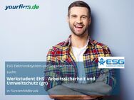 Werkstudent EHS - Arbeitssicherheit und Umweltschutz (gn) - Fürstenfeldbruck