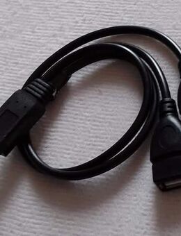 USB 2.0 Y-Adapter Stecker Auf 2 Dual Buchsen - Landau (Pfalz)
