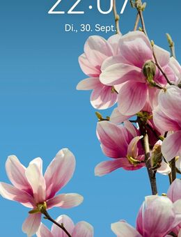 Mobile Wellness Massage / Tempelmassage - Nesse-Apfelstädt