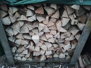 Raummeter Kaminholz Brennholz Holz Nadelholz trocken Fichte Lerche Tanne Hofgeismar - Hofgeismar