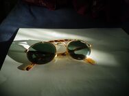 Sonnenbrille Polaroid - Wollbach