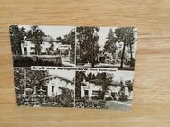 Ansichtskarte-AK-382-Gruß aus Neuglobsow-MB - Nörvenich