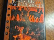 Mein Leben in der Serengeti ~ Hugo van Lawick - Emmerich (Rhein)