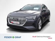 Audi e-tron, Sportb bel Mass 20, Jahr 2022 - Lauf (Pegnitz)