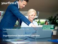 Organizational Development Specialist - Ditzingen