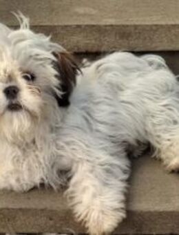 Kleine, zauberhafte und liebe Lotti - Kallmünz