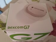Dexcom G7 - Hamburg