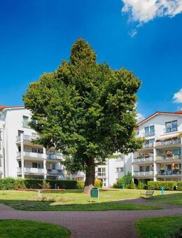 Magdeburg -großzüg. 2-Raumwohnung mit gr. Terrasse, Wanne/Dusche, Stellplatzoption in beliebter Lage - Magdeburg